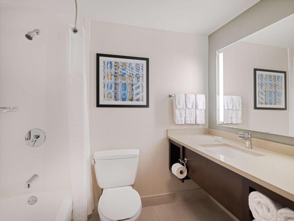 Hilton Garden Inn Chicago Downtown/Magnificent Mile Image 13