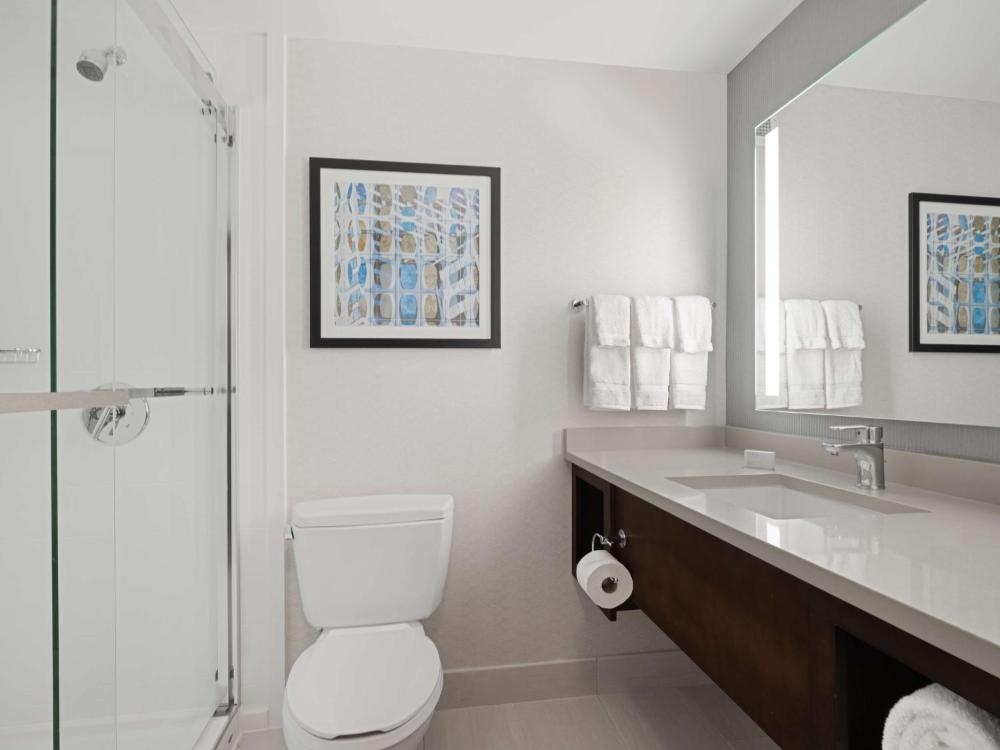 Hilton Garden Inn Chicago Downtown/Magnificent Mile Image 41