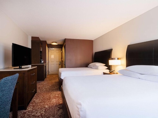 Hilton Garden Inn Chicago Downtown/Magnificent Mile image 16