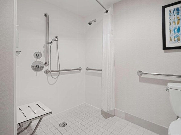 Hilton Garden Inn Chicago Downtown/Magnificent Mile image 31