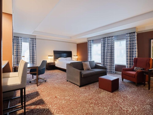 Hilton Garden Inn Chicago Downtown/Magnificent Mile image 40